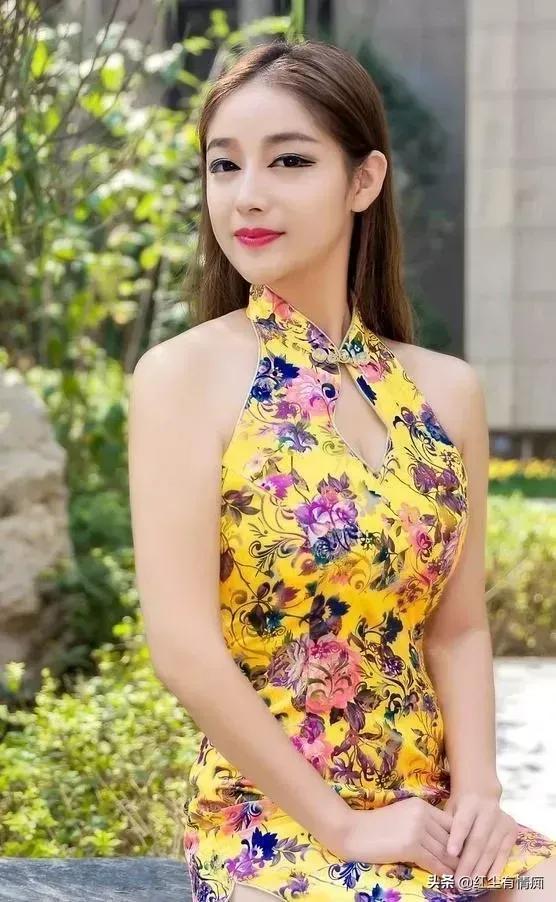 蚜虫靠吃什么为生，蚜虫吃植物的什么部位（菜地里的搬运工——蚂蚁）