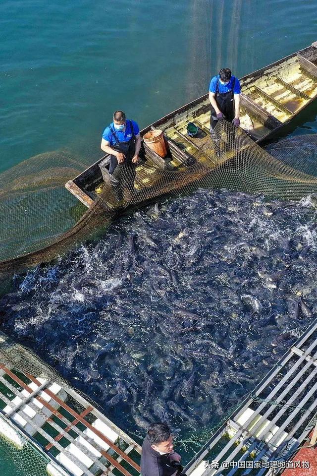 划分湖南湖北的湖是什么湖，湖南和湖北里的湖指的是哪个湖泊（不能被忽视的“湖南第二城”）