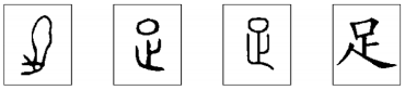 识字的教案，识字的教案小班（一年级语文上册识字3《口耳目》课件教案教用资料）