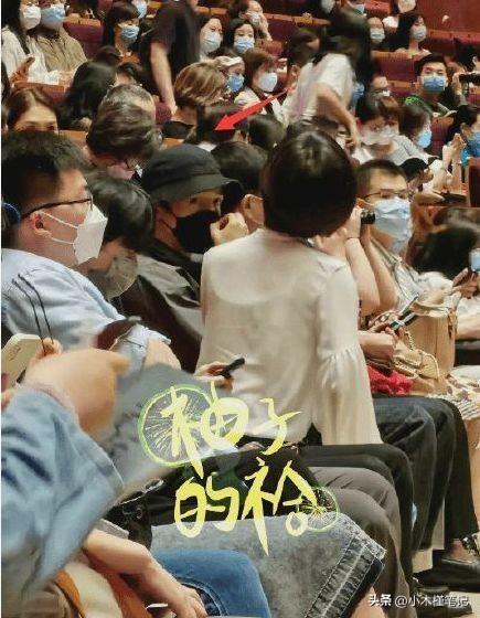 王晓晨宣布结婚，胡歌王晓晨回应恋爱了吗（胡歌王晓晨被传隐婚生女）