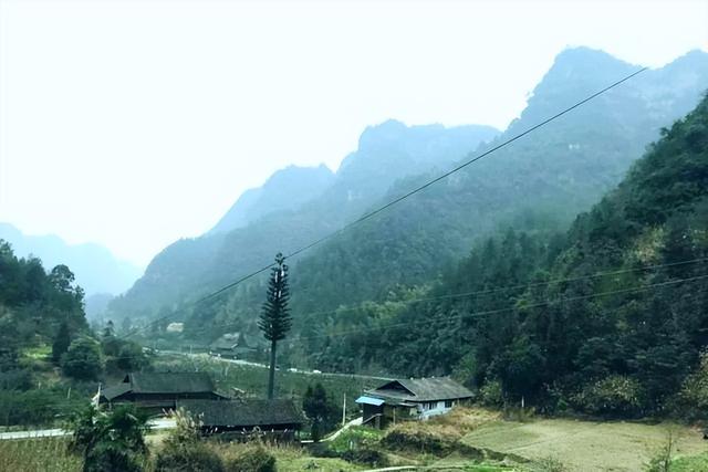 重庆周边旅游的好去处，重庆市周边游玩好去处（2022年美丽休闲乡村）