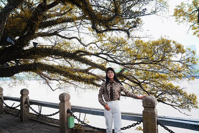 温州江心屿特色，浙江温州有个很出名的岛屿