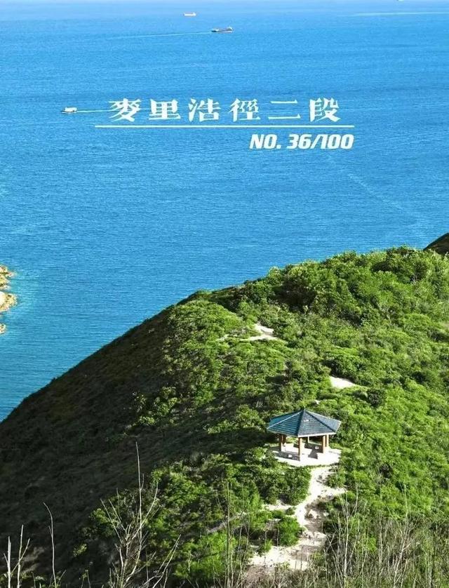 深圳百公里徒步，徒步百公里总结（深圳户外徒步活动—香港麦理浩径二段）