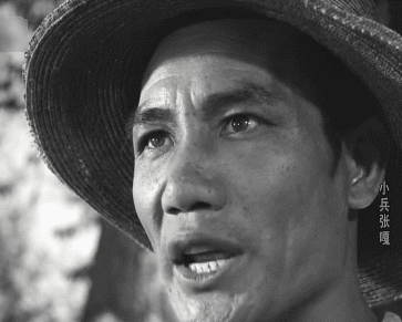 小兵张嘎简介，小兵张嘎简介30个字（《小兵张嘎》里的胖翻译叫王澍）