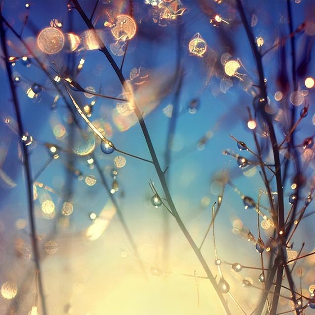 致生活中的小美好唯美的句子，关于致生活中的小美好唯美的句子（感悟生活美好的经典句子）