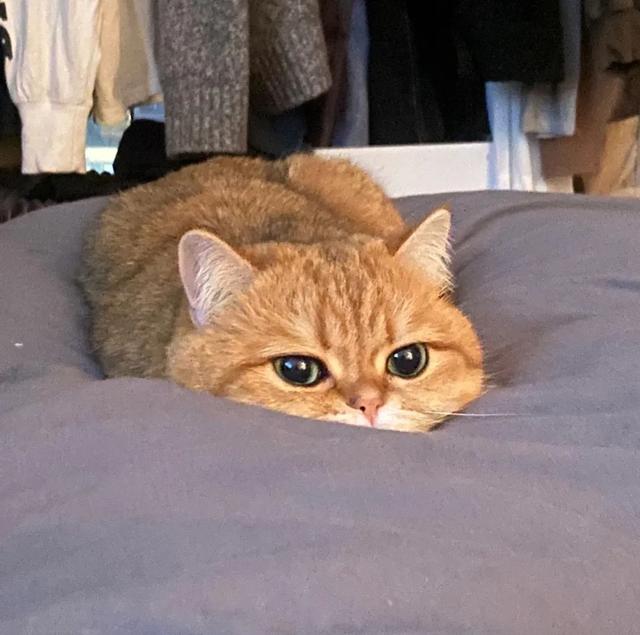 也许放弃才能靠近你，也许放弃 才能靠近你，微信头像（人生才几年不能因为找不到对象而放弃自己）