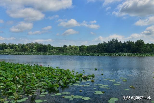 溱湖湿地公园有哪些，泰州溱湖国家湿地公园