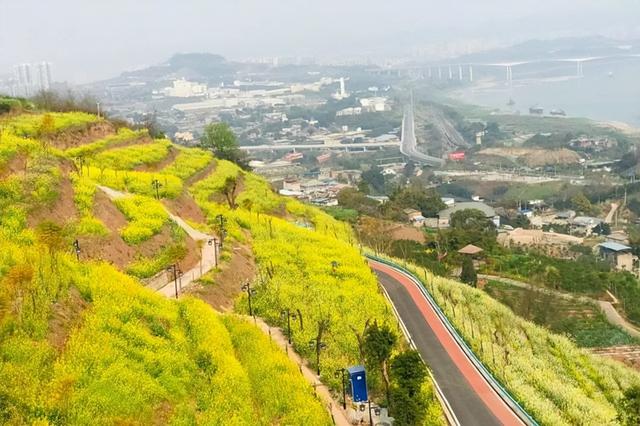 重庆周边旅游的好去处，重庆市周边游玩好去处（2022年美丽休闲乡村）