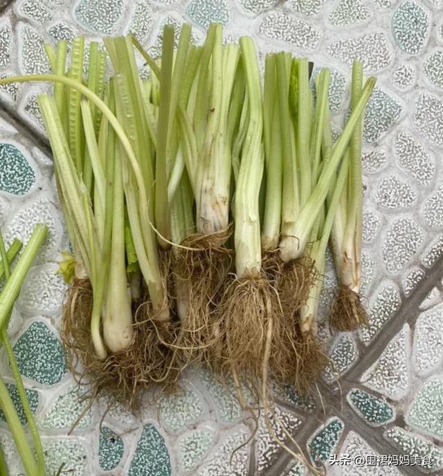 芹菜叶可以冷冻保存吗，芹菜可以放冰箱冷冻保存吗（芹菜像我这样保存）