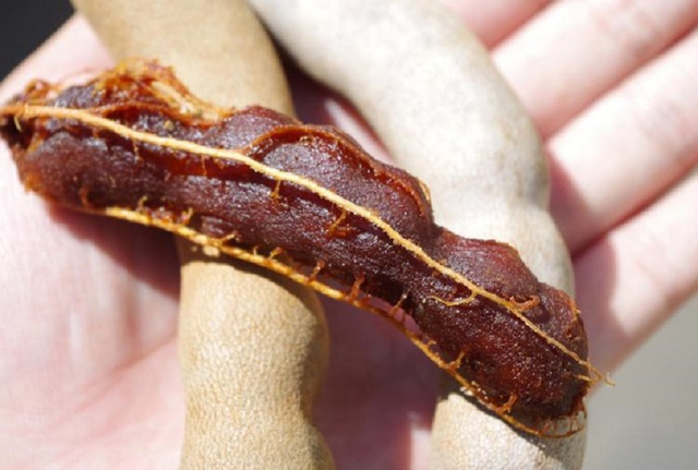 酸角是哪里的特产，酸角（酸角的热量）（云南最出名的六道菜）