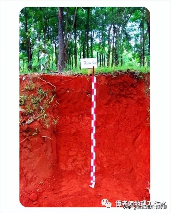 土地性质分类和用途，怎么查个人土地信息（附中国土壤的分类及分布）