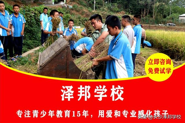 哪里有叛逆少年管教学校，叛逆少年管教学校哪有