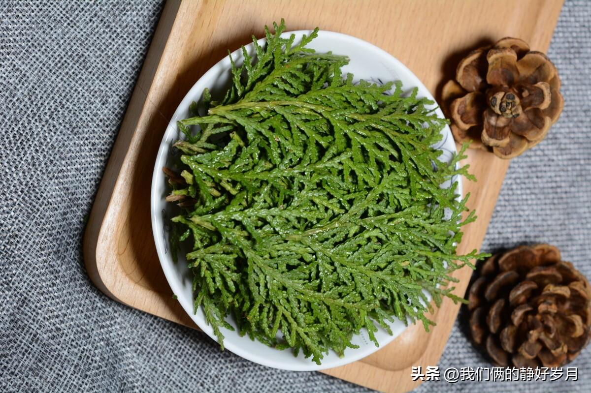 含皂角的洗发水，含皂角的洗发水好吗（<二>皂角、无患子等天然植物）