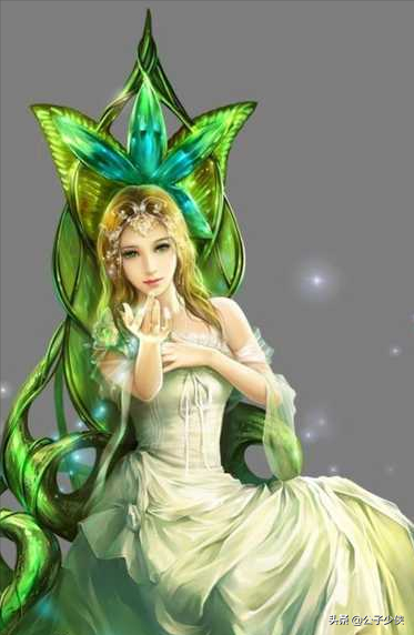 魔兽剑圣异界纵横小说，类似魔兽剑圣异界纵横的小说（后宫小说《魔兽剑圣异界纵横》女主角全解析）