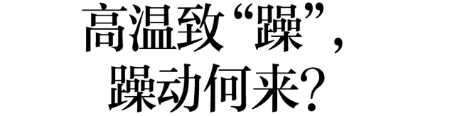 24度穿什么衣服合适（因为我学会了这几招）