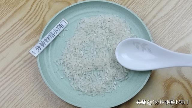 家里进老鼠了应该怎么办，家里进老鼠了怎么办（家里出现老鼠不要慌）