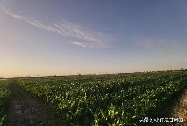 甘肃天水为什么出美女，甘肃天水出美女吗（找老公要不要找甘肃的）