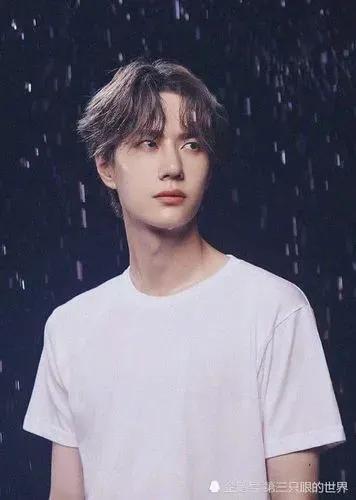 洛阳白牡丹——王一博，为什么叫王一博洛阳白牡丹（洛阳白牡丹—王一博图片）