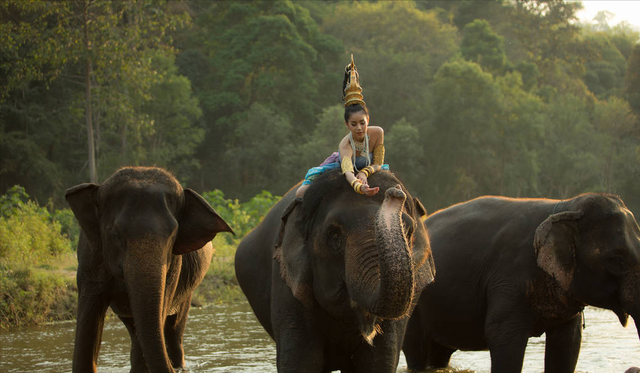 泰国没有冬天吗，为什么冬天去泰国（一个月工资是多少呢）