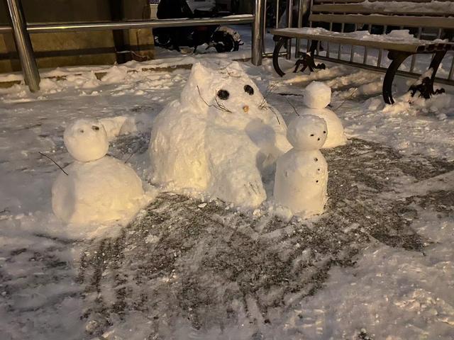 热水壶什么材质内胆比较好，热水壶哪种内胆好（保温壶玻璃内胆和不锈钢内胆哪个好）