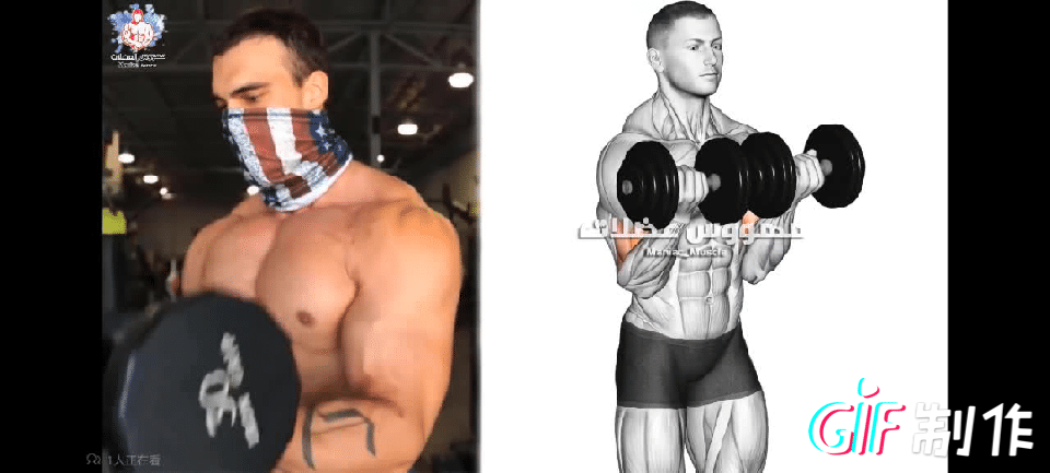 快速练好肱二头肌锻炼方法，快速练肱二头肌的方法（肱二头肌怎么练）