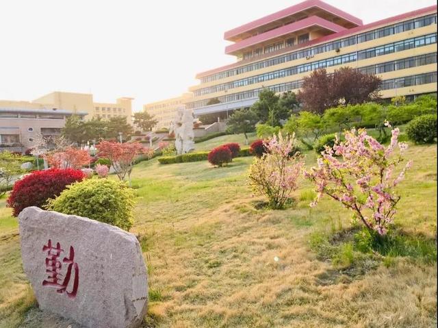 青岛大学，青岛大学研究生官网招生网（青岛大学100个专业上榜）