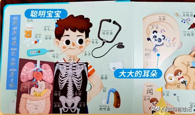 敏感期和关键期的区别，儿童的敏感期和关键期（家长明白其概念的本质）