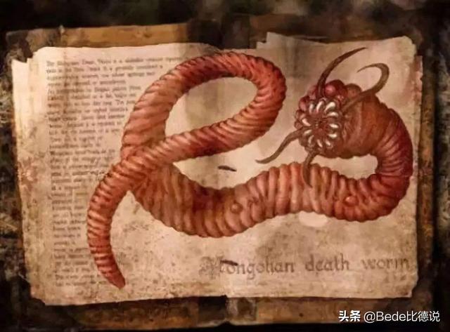 能虫是什么样子的（戈壁沙漠的传说）