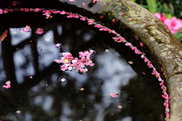 花开花落的意思，花开花落是什么意思（何事奈诗歌——听风听雨听落花）