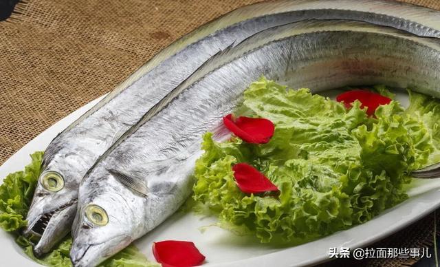 沙丁鱼怎么做好吃，沙丁鱼做法（少吃面食和猪肉）