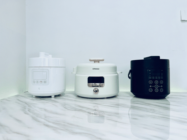 电压力锅炖排骨，电压力锅炖排骨做法（攻略+横评+实测）