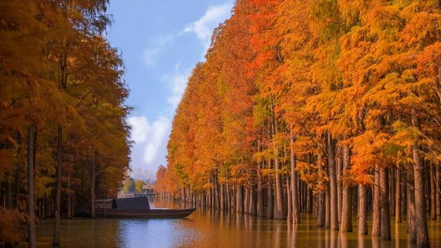 湖北旅游攻略，湖北旅游攻略路线最佳路线（这10条宝藏线路快收好）