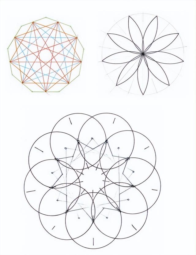 花朵的构造有哪些，花朵的组成结构（暴力拆解花朵的几何结构）