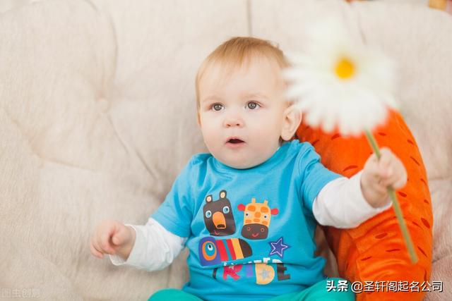 属虎的起什么名字好，属虎的起什么名字好听（吉祥又霸气的男宝宝名字大全）