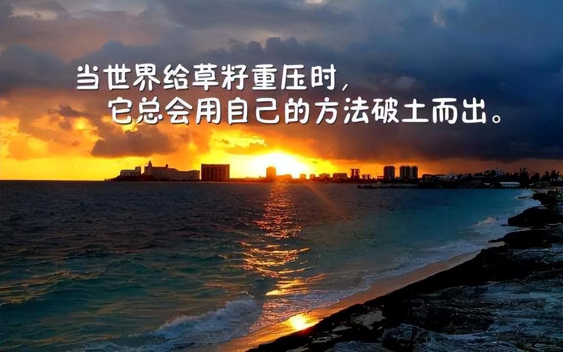 抖音引流推广怎么做（抖音引流推广的4大技巧解析）