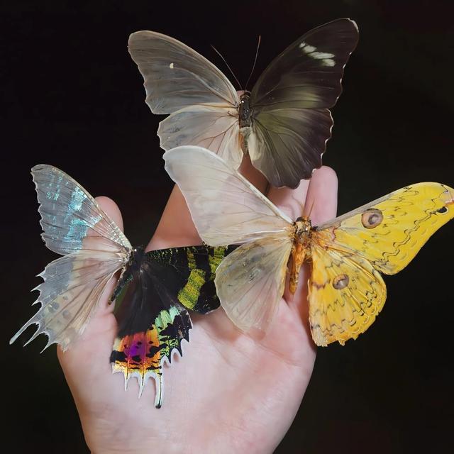 温柔的图片唯美，ins温柔唯美治愈系背景图，微信头像（生活明朗 万物可爱）