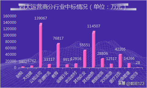 信息化项目包括什么，政务信息化项目有哪些（四大运营商政企信息化竞争力浅析）