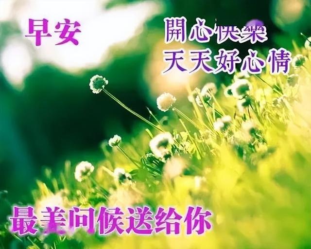 寓意吉祥的图片高清版，寓意吉祥的图片高清版大图（2022最新早上好表情包）