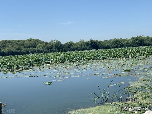 苏州太湖湿地公园，苏州太湖湿地公园介绍（苏州吴中太湖旅游区）