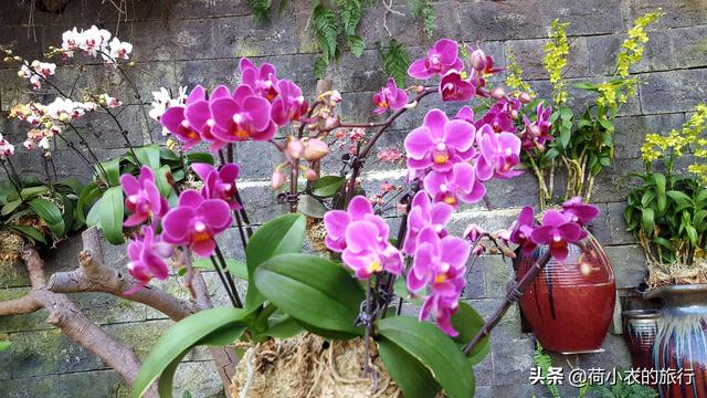 南宁旅游景点最值得去六个景点，南宁景点介绍 南宁旅游景点（超级推荐这5个打卡点）