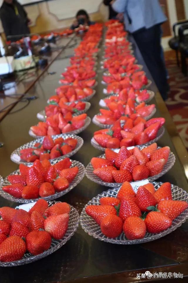 九九草莓特点，九九草莓有几个品种（中国草莓主要产地分布及品种介绍）