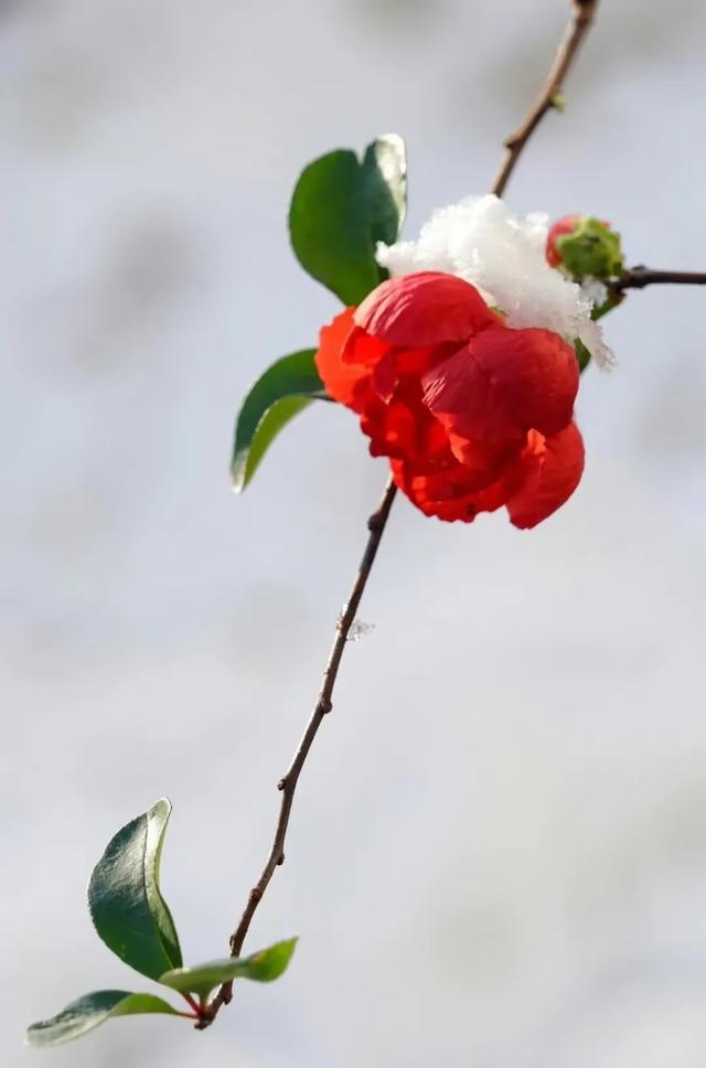 优美散文随笔，优美散文随笔日记450（散文：年）