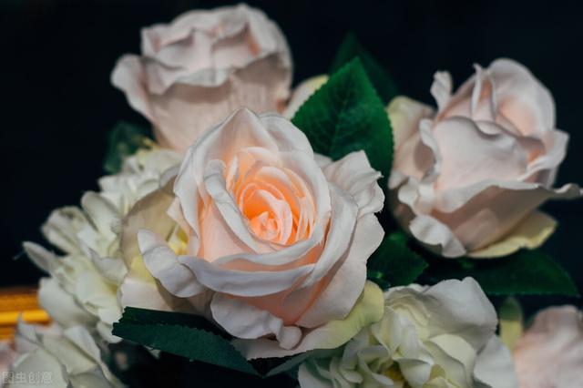 爱情交友宣言，爱情交友宣言精美语句简短（最适合发朋友圈的爱情宣言）