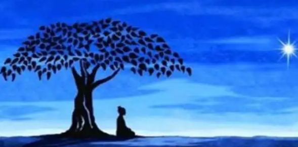 中国十大辟邪佛珠，带在身上10大辟邪物（菩提佛珠：有哪十八子你知道吗）