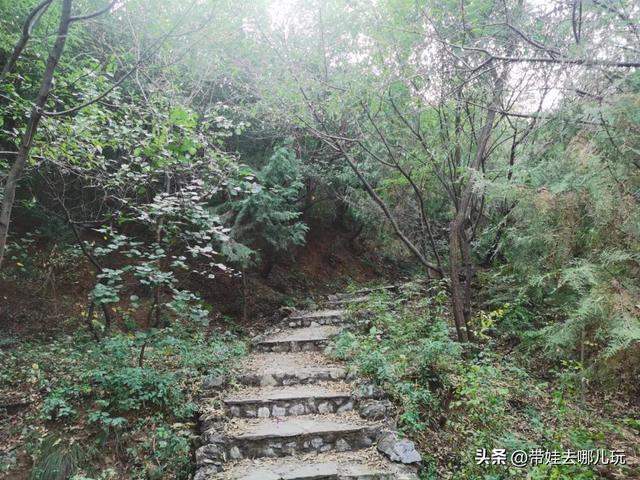 离我最近的酒店，天府国际机场贵宾室（泡温泉、爬山、室内外俩儿童乐园）