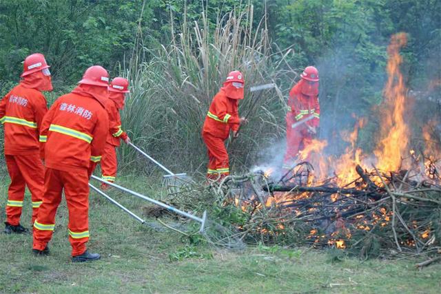 扑救森林火灾主要分哪几个阶段，扑救森林火灾主要分哪几个阶段工作（多举措筑牢森林防火屏障）