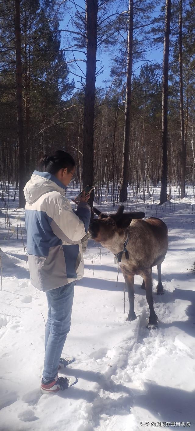 一起来看看吧，圐圙怎么读（4月的漠河是这样的）