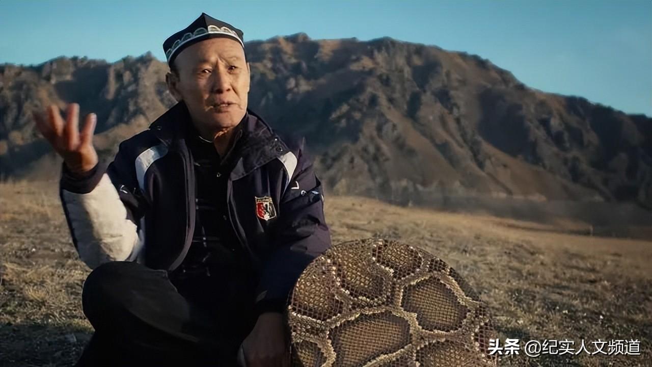 我到新疆去(我到新疆去挑战文本内容)