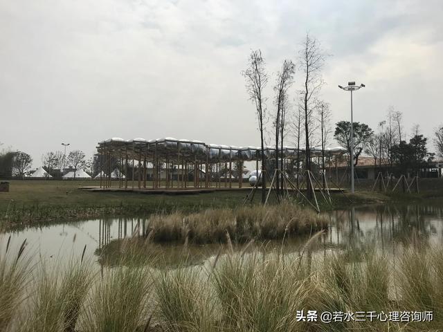 惊喜，惊喜盲盒app是真的吗（心理微小说：惊喜图片）