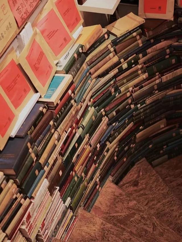 云南最好吃的野生菌在哪，中国最浪漫城市非她莫属